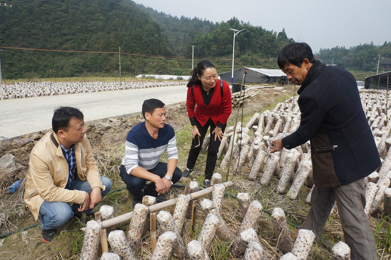 1508919452414085663.jpg DSC09526_meitu_4.jpg