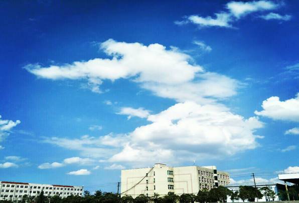 1513847586760032926.jpg 3.jpg