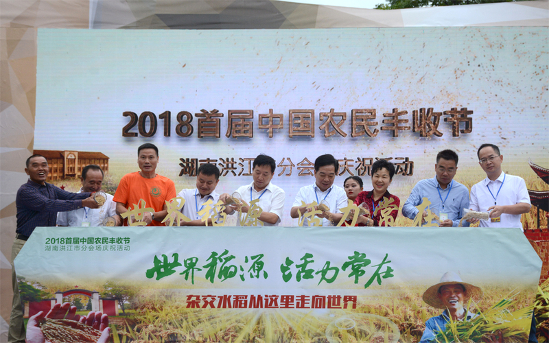 1537176582114083689.jpg DSC_1397.jpg