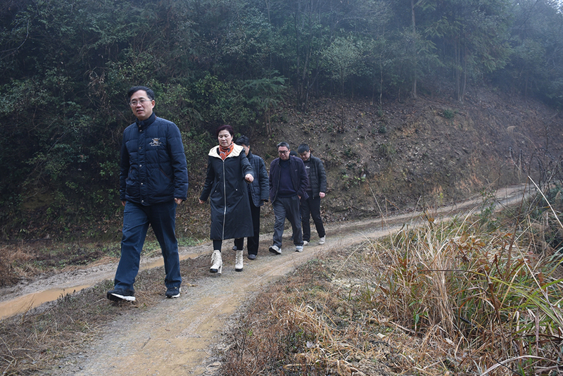 1548950430697038018.jpg DSC_0694.jpg