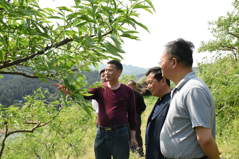 1588431593614008049.jpg DSC_4665.jpg