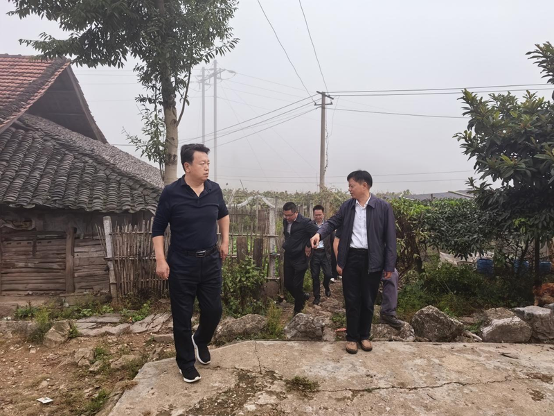 1761029529667044966.png 图片1.png