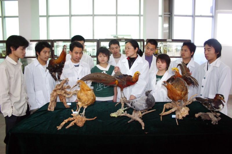 1765179997187004346.jpg 胡辉院长指导学生开展实习实训.jpg