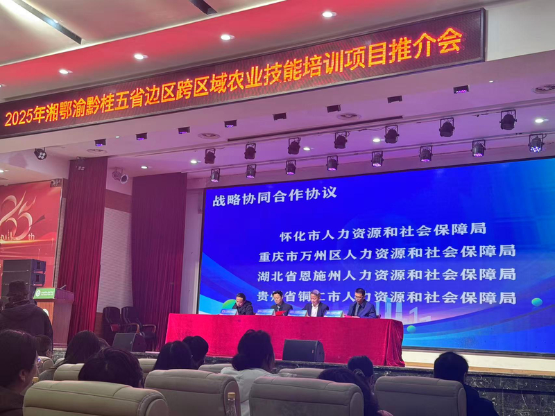 1766112913807051850.jpg 5.jpg